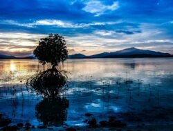 Sea Doo Life Jacket Mens For Ultimate Safety