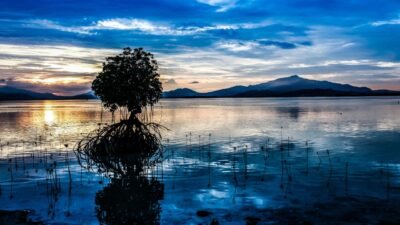 Sea Doo Life Jacket Mens For Ultimate Safety