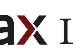 amax silver Elevating Your Translation Experience