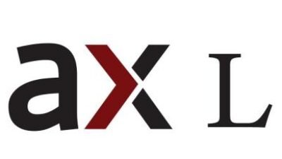 amax silver Elevating Your Translation Experience