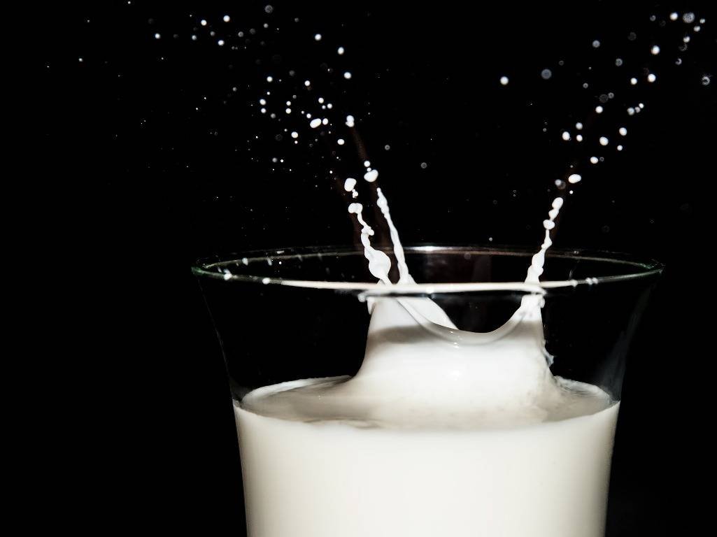 What is Milk: Its Composition, Nutritional Value and Health Benefits