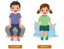 Soft Shell Safety Jacket The Ultimate Protection Gear