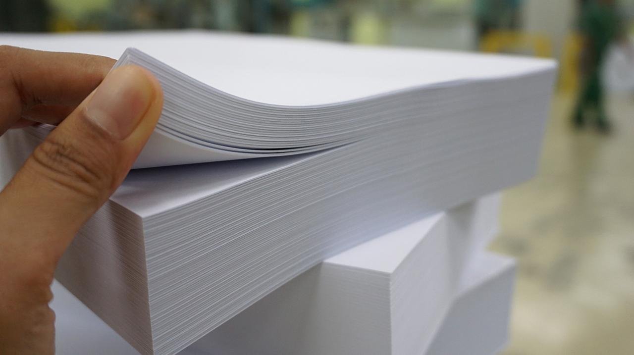 Paper, Please Paper, Please