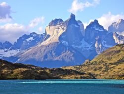 Patagonia corporate jackets elevate your style and comfort