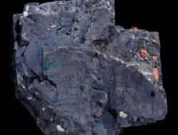 Platinum skincare coupon exclusive offers await you