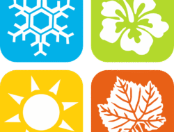 In season jewelry promo code for stunning deals