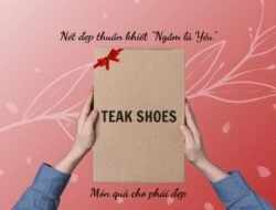 Teeks Shoes Experience Unmatched Comfort And Style