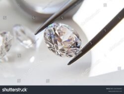 Buy Jewelry With Echeck For A Seamless Experience