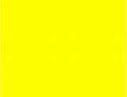 Yellow Jacket Removal Near Me For A Safer Home