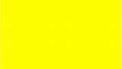 Yellow lilies blooming on hi-res stock photography and images - Alamy