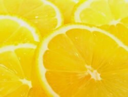 Yellow Jacket Control Near Me For A Pest-free Home