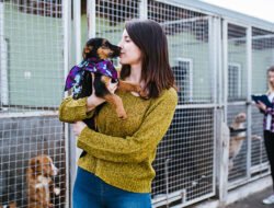 Pet Insurance Near Me For Peace Of Mind Today