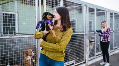 Pet Insurance Near Me For Peace Of Mind Today