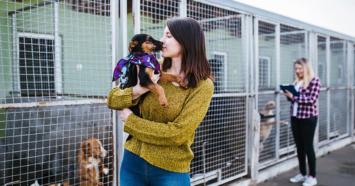 Where to Find or Adopt a Pet | Zoetis Petcare